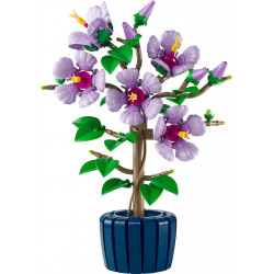 Хибискус – БОТАНИКАЛС