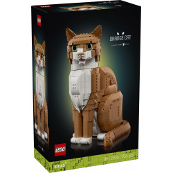 Оранжева котка – ИДЕИ