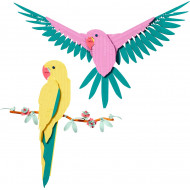 The Fauna Collection – Macaw Parrots – АРТ