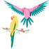 The Fauna Collection – Macaw Parrots – АРТ