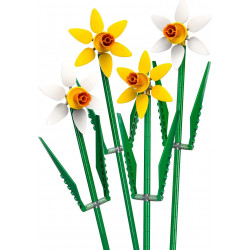 Нарциси – КРИЕЙТЪР