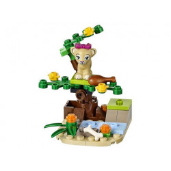 Саваната на малкото лъвче – ПРИЯТЕЛИ