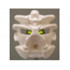 Bionicle Mask Pakari Nuva: {бял}