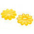 Clikits Icon, Flower 10 Petals 2 x 2 Large with Pin, Frosted (Solid and Transparent Colors): {прозрачно огнено жълто-оранжев}