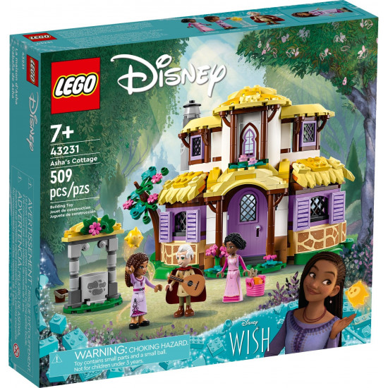 Вилата на Аша – ДИСНИ