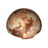 Cylinder Hemisphere 11 x 11, Studs on Top with Tatooine Dark Red / Dark Tan / White Planet Pattern (9675): {умерен нуга}