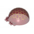 Windscreen 6 x 6 x 3 Canopy Half Sphere with Dual 2 Fingers and White Compound Eye Pattern: {прозрачно червен}