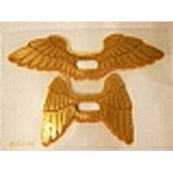 Plastic Wings with Gold Feathers Hawkman Pattern, Sheet of 2, Extended and Collapsed Wings: {прозрачен}