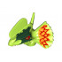 Dinosaur Head Dilophosaurus with Dark Green and Red Around Eyes and Red and Orange on Frill Pattern: {ярко жълто-зелен}