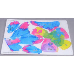 Plastic Skin Splash Koi Sheet 2 of 2 for Set 81002-1: {неопределен}