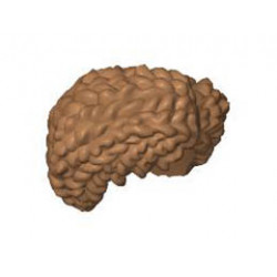 MINI WIG, NO. 331: {умерен нуга}