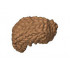 MINI WIG, NO. 331: {умерен нуга}