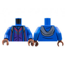 Torso Robe over Dark Purple Shirt, Magenta and Gold Trim Pattern / Blue Arms / Reddish Brown Hands: {ярко син}