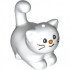 Cat, Friends, Large, Sitting with Black Eyes, Reddish Brown Whiskers, and Orange Nose Pattern: {бял}