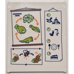 Glass for Window 1 x 6 x 6 Flat Front with Lime and Yellowish Green Frogspawn, Tadpoles and Frog Life Cycle with Orange Arrows, Flowers, Bee and Black Daily Plan Pictures Pattern: {бял}