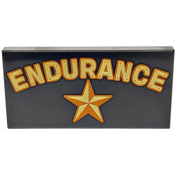 Tile 2 x 4 with Gold and Dark Orange 'ENDURANCE' and Star Pattern: {черен}
