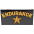 Tile 2 x 4 with Gold and Dark Orange 'ENDURANCE' and Star Pattern: {черен}