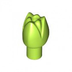 Plant Flower Tulip with Bar and Small Pin Hole: {ярко жълто-зелен}