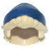 Mini Doll, Hair Combo, Hair with Hat, Short Tousled with Molded Dark Blue Beanie / Knit Cap Pattern: {тухлено жълт}
