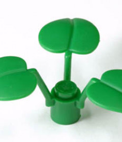 РАСТЕНИЯ РАСТЕНИЯ