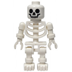Skeleton with Standard Skull – ЗАМЪЦИ