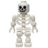 Skeleton with Standard Skull – ЗАМЪЦИ