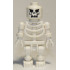 Skeleton with Evil Skull – ПРИЛЮЧЕНЦИ