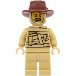 Tractor Driver - Tan Mummy Costume, Reddish Brown Fedora Hat – ПРАЗНИЦИ И СЪБИТИЯ