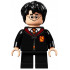 Harry Potter - Gryffindor Robe Clasped, Sweater, Shirt and Tie, Black Short Legs – ХАРИ ПОТЪР