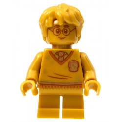 Harry Potter - 20th Anniversary Pearl Gold – ХАРИ ПОТЪР
