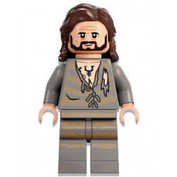 Sirius Black - Dark Brown Hair, Light Bluish Gray Tattered Striped Shirt – ХАРИ ПОТЪР
