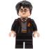 Harry Potter - Gryffindor Robe Open, Black Medium Legs, Hair Thick and Messy – ХАРИ ПОТЪР
