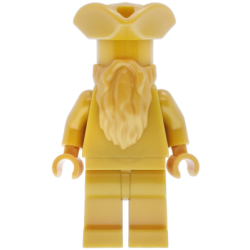 Statue - The Ministry of Magic, Pirate Hat, Gold Beard (Monochrome) – ХАРИ ПОТЪР