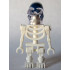 Akator Skeleton – ИНДИАНА ДЖОУНС