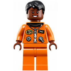 Mae Jemison – ЛЕГО ИДЕИ
