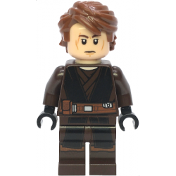 Anakin Skywalker - Dark Brown and Black Robe, Black Hands – СТАР УОРС