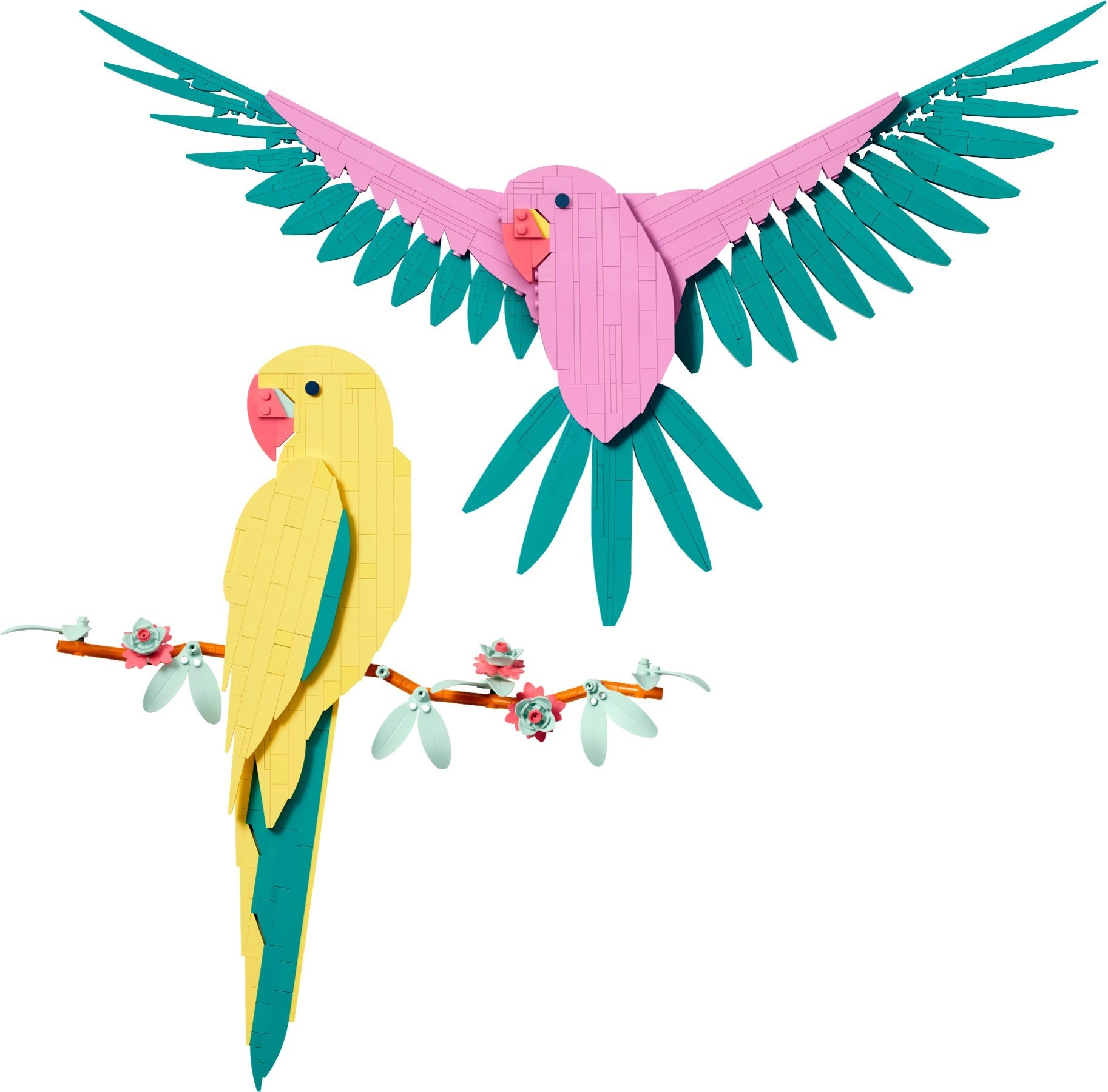 The Fauna Collection – Macaw Parrots – АРТ