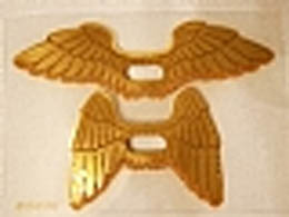 Plastic Wings with Gold Feathers Hawkman Pattern, Sheet of 2, Extended and Collapsed Wings: {прозрачен}
