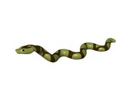 SNAKE NO. 3: {маслинено зелен}