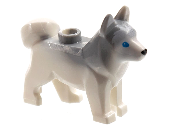 Dog, Husky with Marbled Light Bluish Gray Ears and Back and Printed Blue Eyes, Black Nose, White Face and Ears Pattern: {бял}