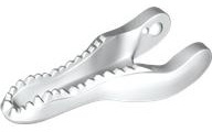 Dinosaur Jaw Lower Baryonyx: {бял}