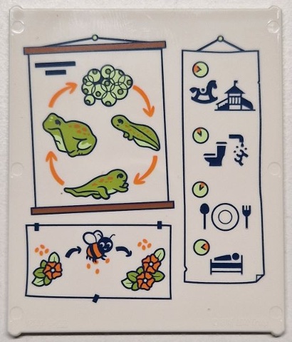 Glass for Window 1 x 6 x 6 Flat Front with Lime and Yellowish Green Frogspawn, Tadpoles and Frog Life Cycle with Orange Arrows, Flowers, Bee and Black Daily Plan Pictures Pattern: {бял}