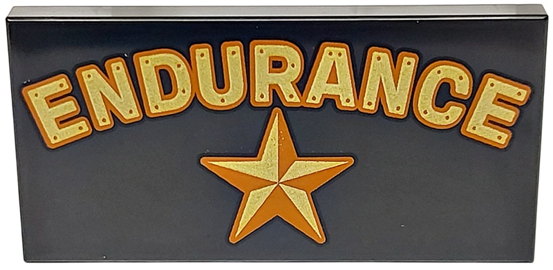 Tile 2 x 4 with Gold and Dark Orange 'ENDURANCE' and Star Pattern: {черен}