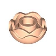 PLANT, NO. 2: {светло нуга}