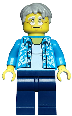 Beachgoer - Gray Male Hair, Glasses and Hawaiian Shirt – ГРАДСКИ
