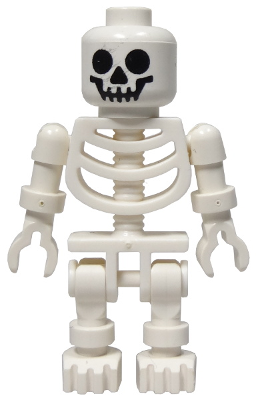 Skeleton with Standard Skull – ЗАМЪЦИ