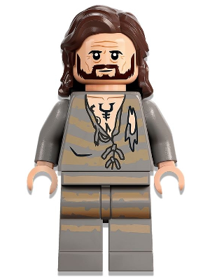 Sirius Black - Dark Brown Hair, Light Bluish Gray Tattered Striped Shirt – ХАРИ ПОТЪР