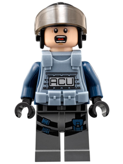 ACU Trooper - Male, Black Aviator Cap with Trans-Brown Visor, Light Nougat Head, Sand Blue Body Armor Vest – ДЖУРАСИК СВЯТ