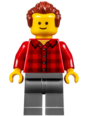 Music Store Assistant - Male, Red Plaid Flannel Shirt, Dark Bluish Gray Legs, Reddish Brown Hair – ГРАДСКИ